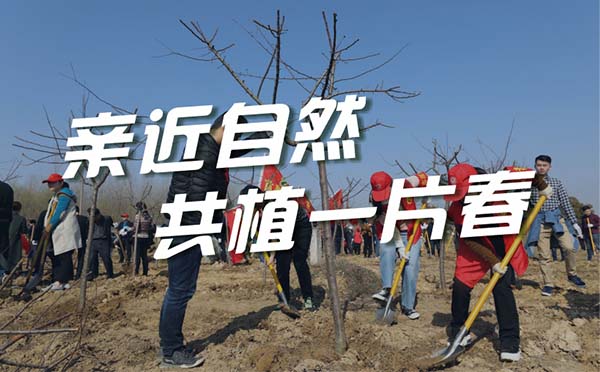 「植樹主題團建方案」親近自然，共植一片春